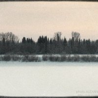 Печаль зимой :: Александр Касымов