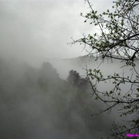 Над ущельем туман :: Андрей Акаёмов