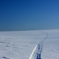 Долгая дорога в дюнах. :: Радмир Арсеньев