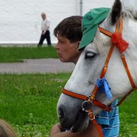 Человек и лошадь :: Владимир Владимир