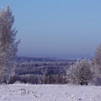 ...... :: павел Труханов