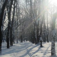 Зима :: Оксана Непоспехова