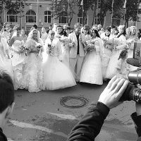 сразу столько невест!!!))) :: вадим измайлов