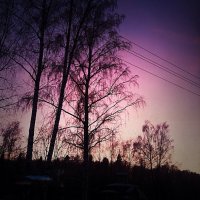 Фиолетовое небо :: Kseniya Umnova