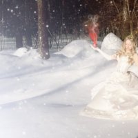 Снежная принцесса :: Karina Kurs (RinaKa)