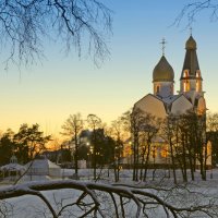 Сестрорецк :: Владимир Балюко