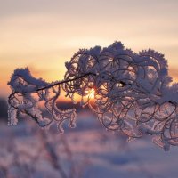 Утро :: Наталья Гжельская