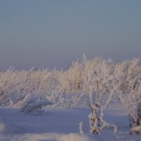 Зима :: Алексей Шалагинов