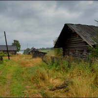 Вот моя деревня. :: Виталий Внимательный.