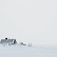 Зима :: Андрей Журавлёв