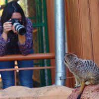 Фотосессия :: Владимир Плужников