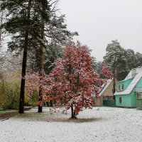 Первый снег в сентябре :: Галина 