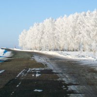 зимняя дорога :: Михаил 