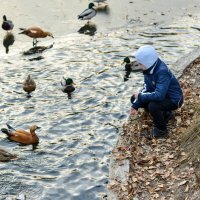 Глаза в глаза :: Анастасия Балашова