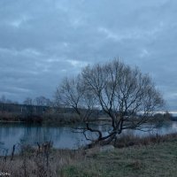 Поздняя осень.Река Дубна. :: Виктор Евстратов