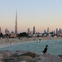 Кот на пляже Дубая :: Марина Алгаева