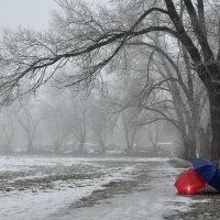 *** :: Сергей Коновалов