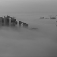 Туман :: Максим Рожин
