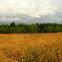 Начало осени... :: Анатолий Борисов