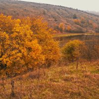 осенние зарисовки :: valeriy g_g