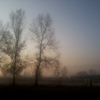 Осенний туман... :: Valeriya Voice