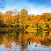 Tibets park, Yonkers, NY :: Vadim Raskin