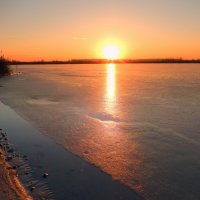 Пригрело. :: Hаталья Беклова