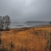 Ноябрьский пейзаж :: sergej-smv 