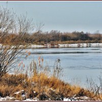 Мороз и солнце :: Владимир Дементьев