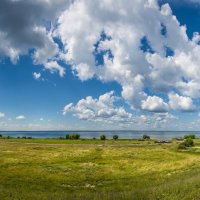 луга у плещеева озера :: юрий макаров