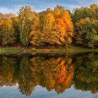 Осенние краски в отражении :: Светлана Шишова