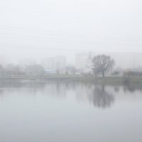 над городом туман :: Елена 