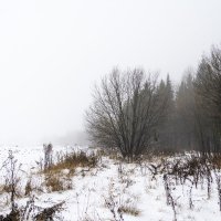 Проглотил туман поля... :: Юрий Митенёв