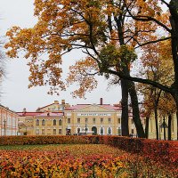 Петербургская осень. :: Наталья Каравай