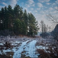 Из серии "Валдай" :: Игорь Иванов