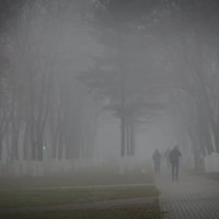 Утренний туман :: Вера Шамраева