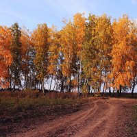 Осенний пейзаж :: Александра Старых