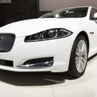 Jaguar :: Николай Тарасов