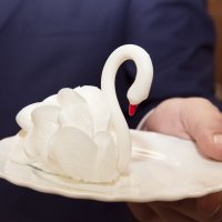 Лебедь со свадебного торта :: Николай Тарасов
