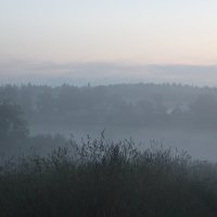 Туман :: Нелли Денисова