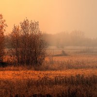Осенний блюз... :: Иван Солонинка