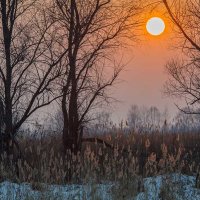 Вечер :: Виктор Алеветдинов