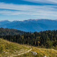 *** :: Александр Хорошилов