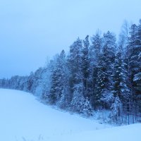 Синее утро :: Наталья Пендюк Пендюк