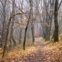 В парке :: Эдуард Цветков