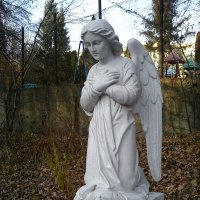 Моршинский ангелочек... :: Любовь Пилипенко 