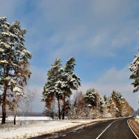 Первый  снег. :: Валера39 Василевский.