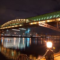 Пушкинский (Андреевский) мост. Москва :: Inna L