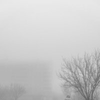В тумане :: Lesli Suzumi