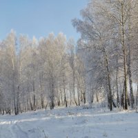 Начало зимы. :: Николай Мальцев